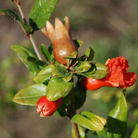 Дом отдыха Quinta Da Estima *