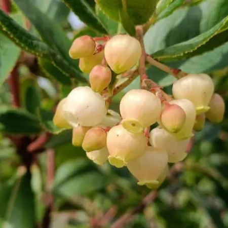 Quinta Da Estima Дом отдыха