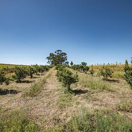 Дом отдыха Quinta Da Estima Dous Portos