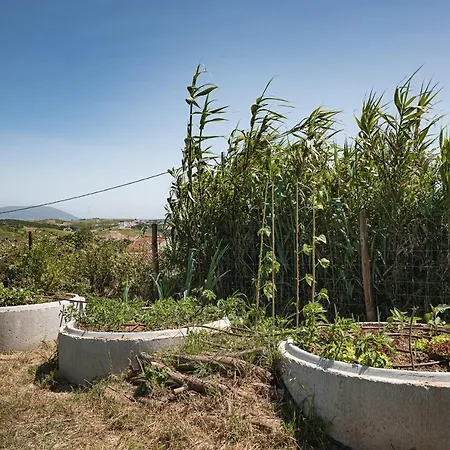 Quinta Da Estima * Dous Portos