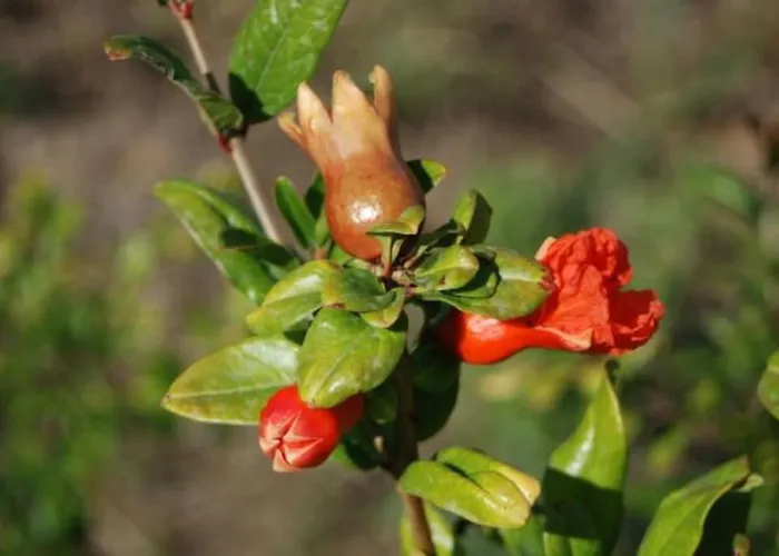 Casa de Férias Quinta Da Estima *
