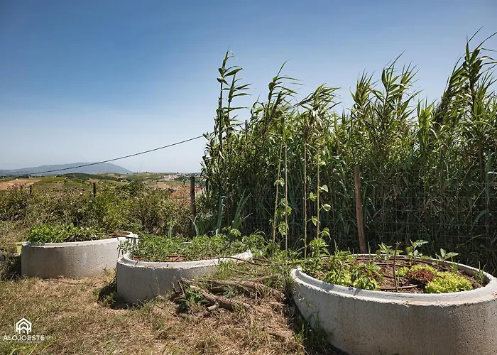 Quinta Da Estima * Dous Portos